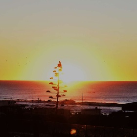 La bahia, Jueves 23-4-2026 Zarpado